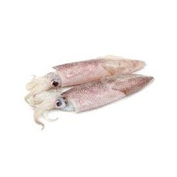 Petits Calamars